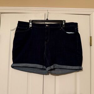Levi's Dark Indigo Jean Shorts